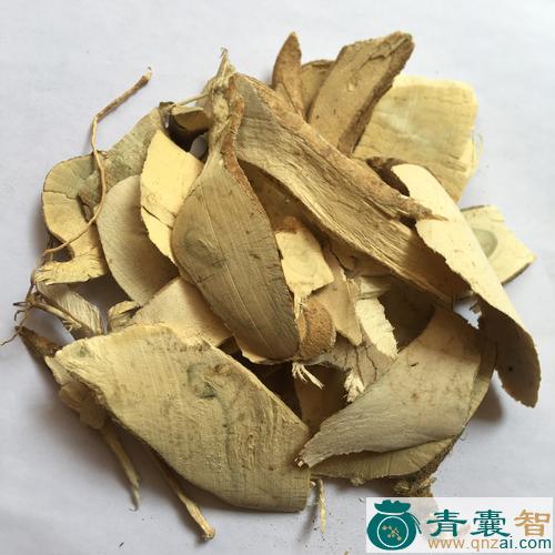 中药材寒莓根图片