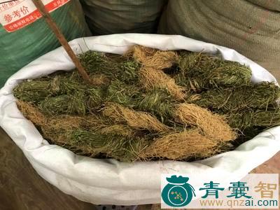 寮刁竹的性状性味归经以及功效用法和注意事项-青囊智