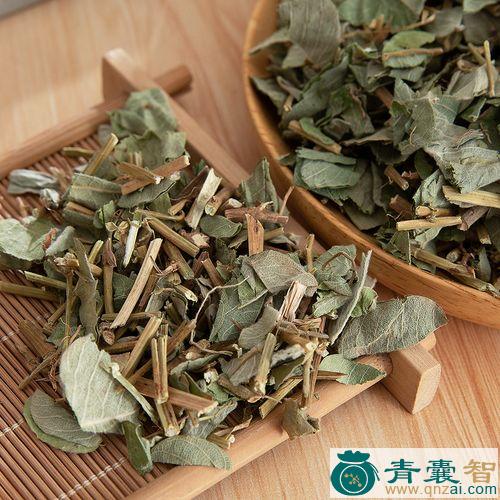 中药材对叶金钱草图片
