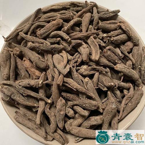 中药材对肾参图片