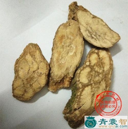 中药材小么公图片