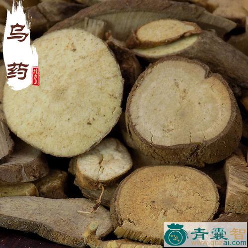 中药材小乌鸭图片