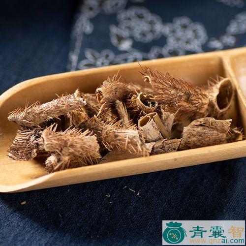 中药材小五加皮图片