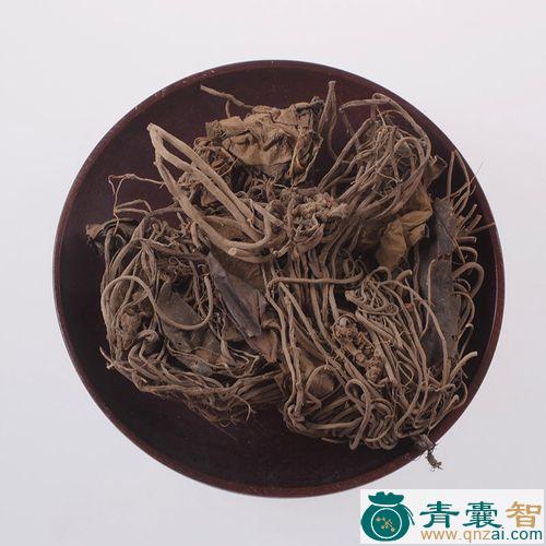 中药材小叶金耳环图片