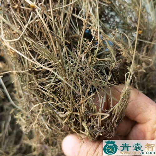中药材小号一包针图片