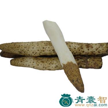 小号山棉皮的性状性味归经以及功效用法-青囊智