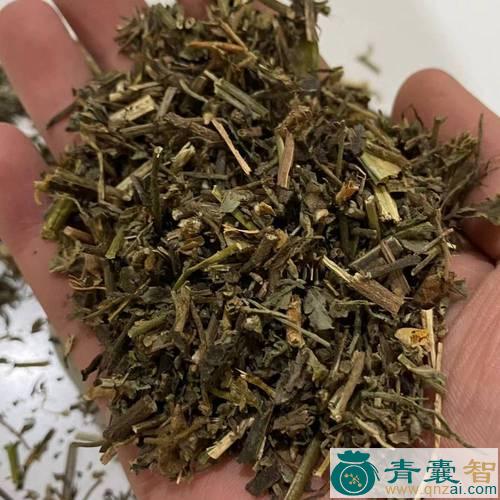 中药材小响铃图片