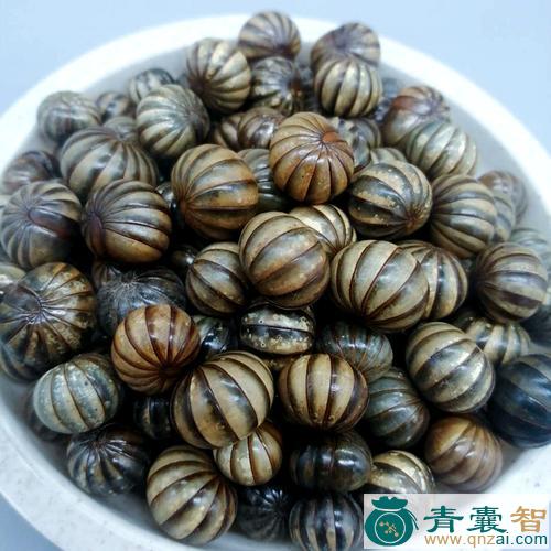 中药材小地罗汉图片