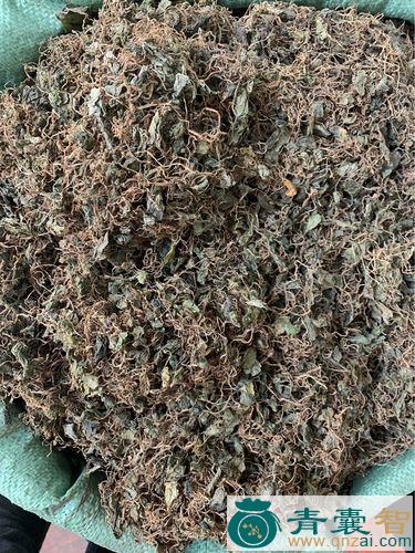 中药材小天青图片