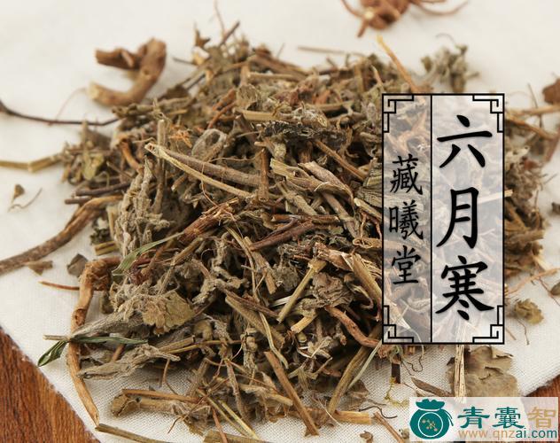 中药材小寒药图片
