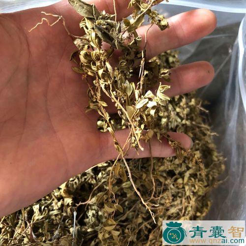 中药材小寸金黄图片