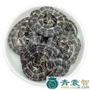 中药材小拦蛇图片