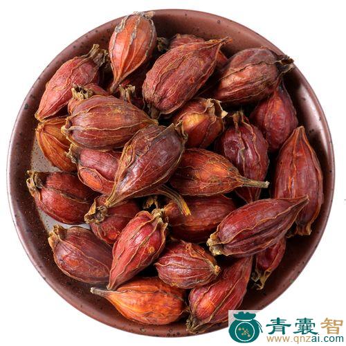 中药材小果栀子图片