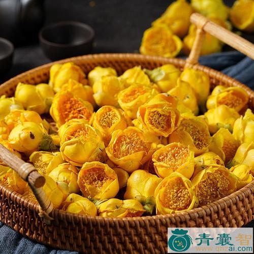 中药材小果金花茶叶图片