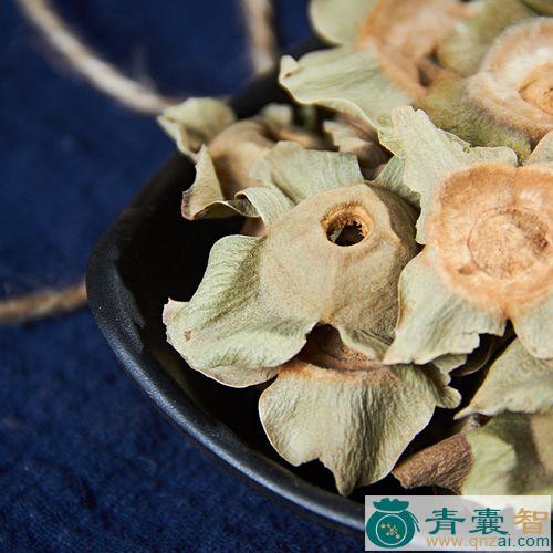 中药材小柿图片