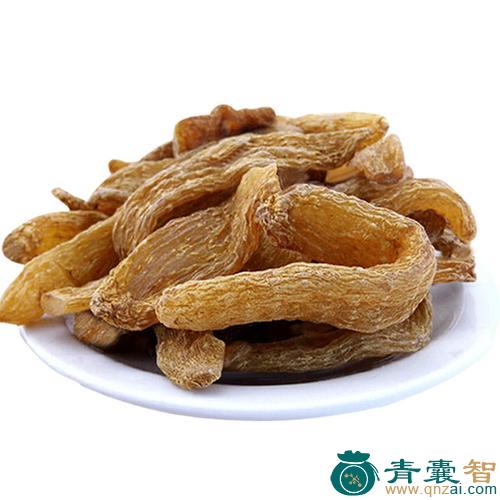 中药材小桐麻图片