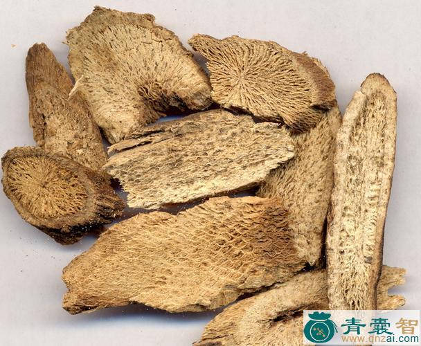 中药材小楠木图片