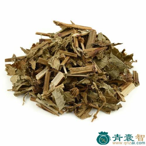 中药材小泽兰图片