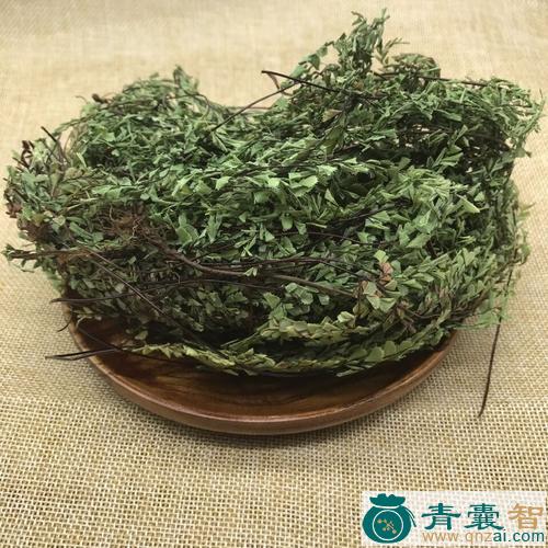 中药材小猪棕草图片