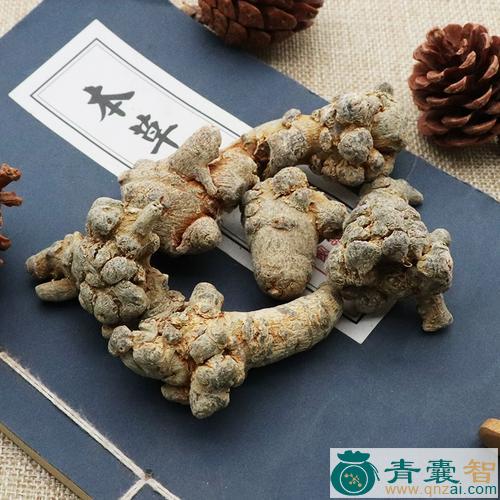 中药材小田七图片