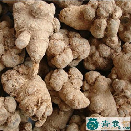 中药材小田螺七图片
