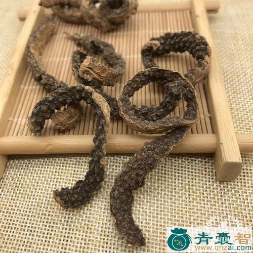 中药材小疙瘩图片