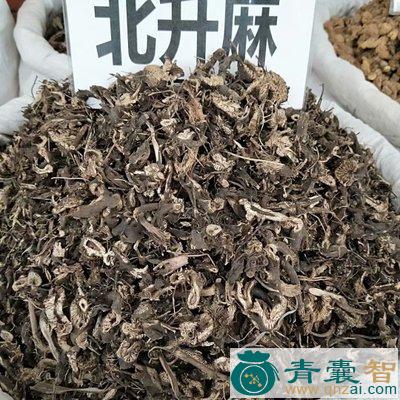 中药材小白升麻图片