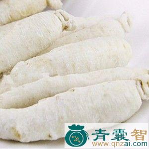小白绵参的性味归经以及功效用法-青囊智