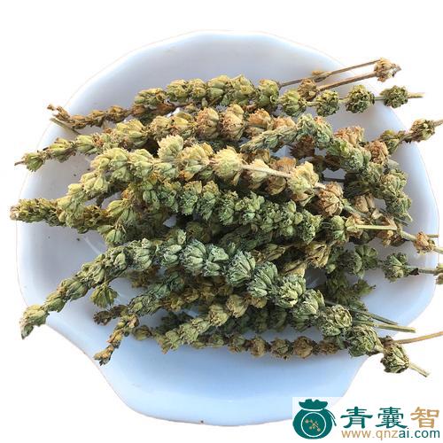 中药材小石芥图片