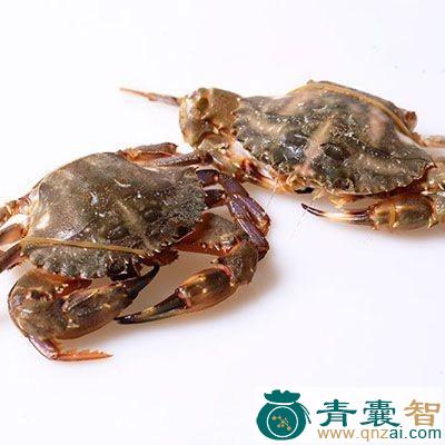 中药材小石蟹图片