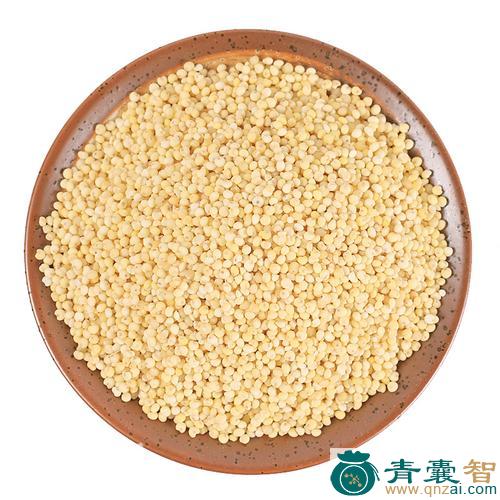 中药材小米图片