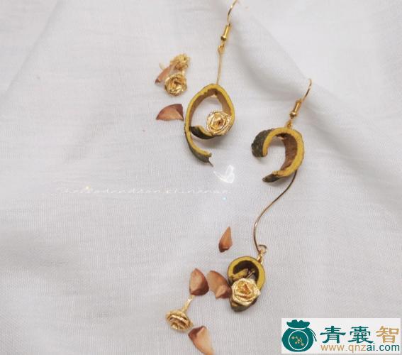 中药材小耳环图片