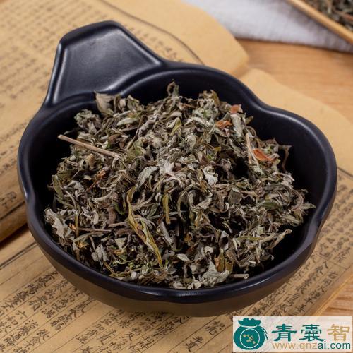 中药材小艾图片