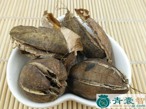 中药材小芦铃图片