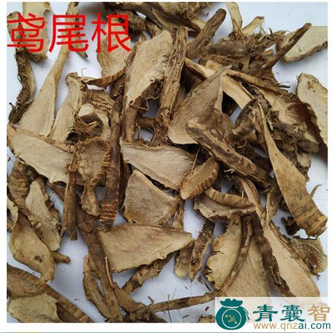 中药材小花鸢尾根图片