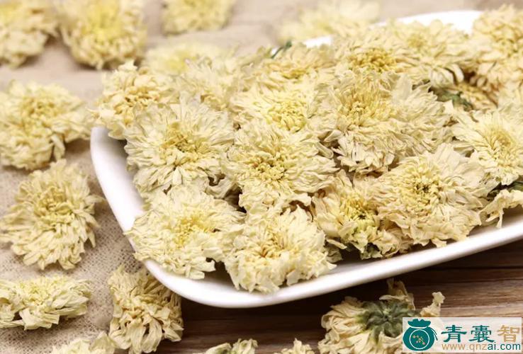 中药材小菊花参图片