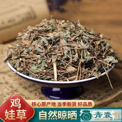 中药材小蓝雪图片