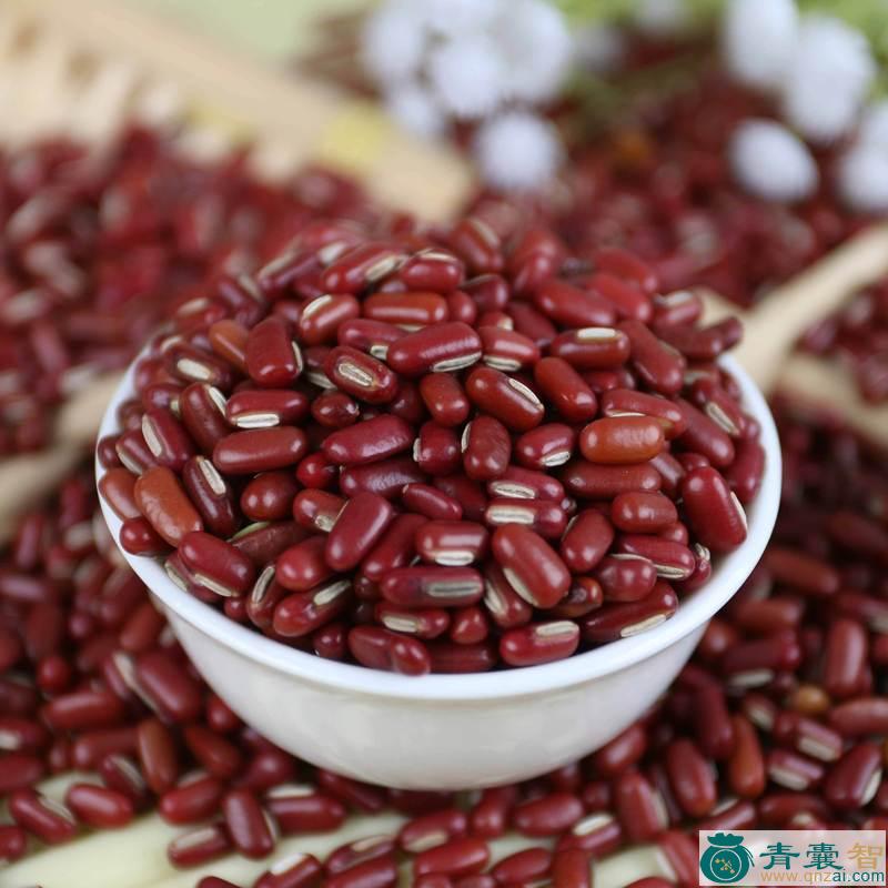 中药材小豆藿图片