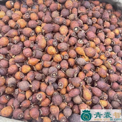 中药材小金樱图片