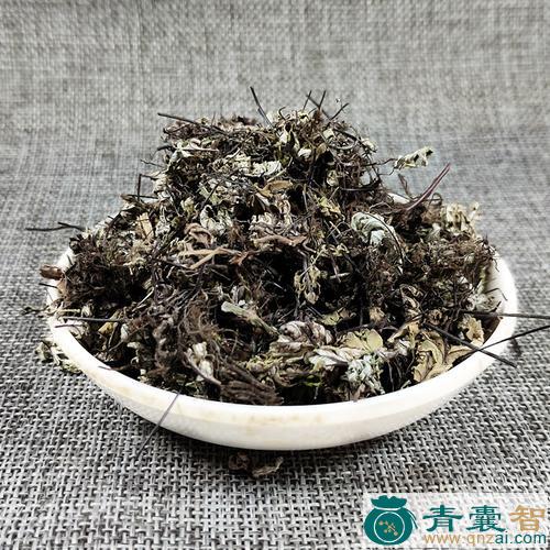 中药材小铜草图片