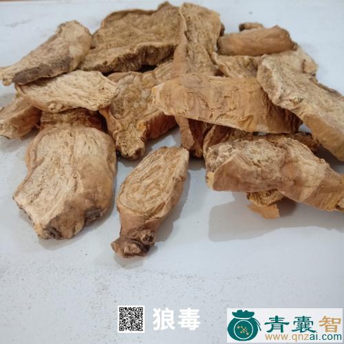 中药材小锒毒图片