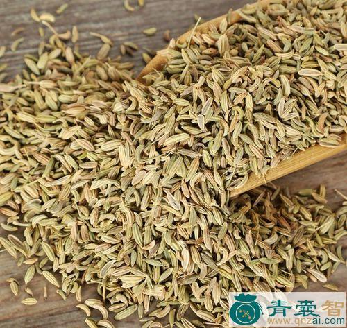 小青香的性味归经以及功效用法-青囊智