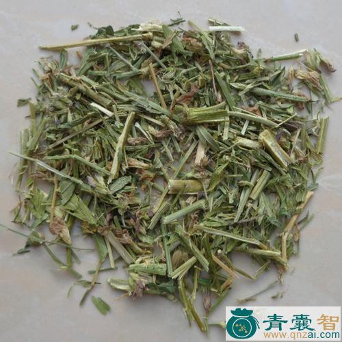 小首蓿的性状性味归经以及功效用法和注意事项-青囊智