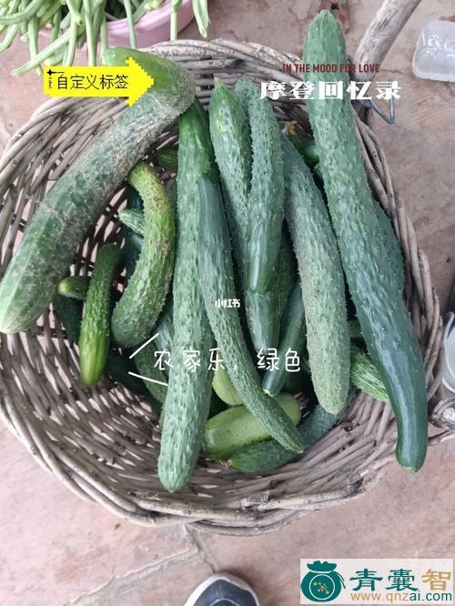 中药材小鸡黄瓜图片