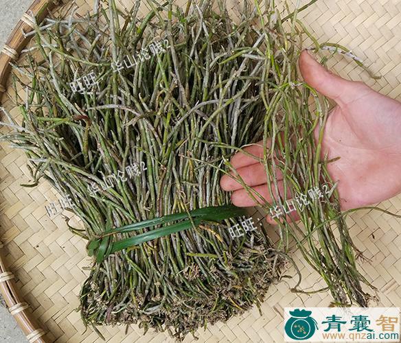 中药材小黄钩图片