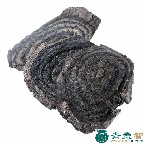中药材小黑藤图片
