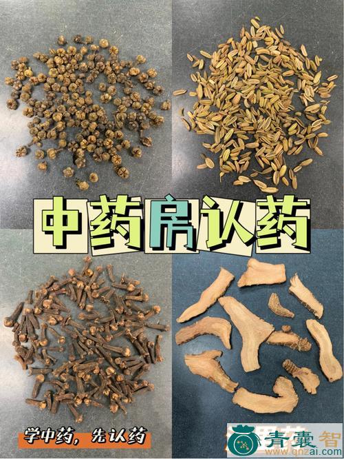 中药材尖叶子打虫药图片