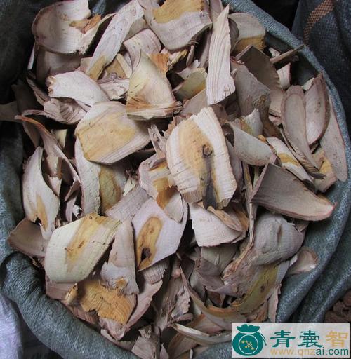 中药材尖破石图片
