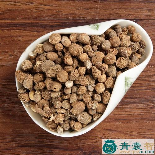 中药材尪子目珠图片