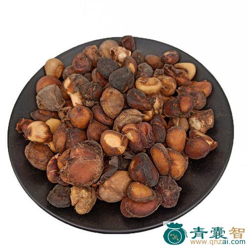中药材屈头鸡图片